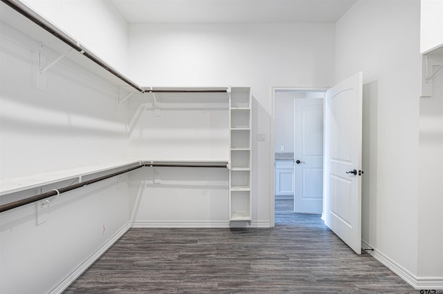 walk in closet featuring dark hardwood / wood-style flooring