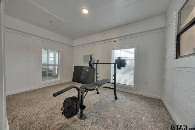 exercise room with carpet flooring