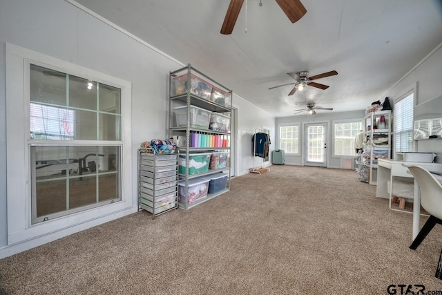 carpeted living room featuring ceiling fan