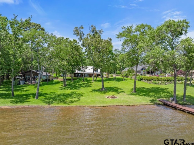16887 Rainbow Ridge Cir, Tyler, TX 75707 - view of property's community with a lawn and a water view