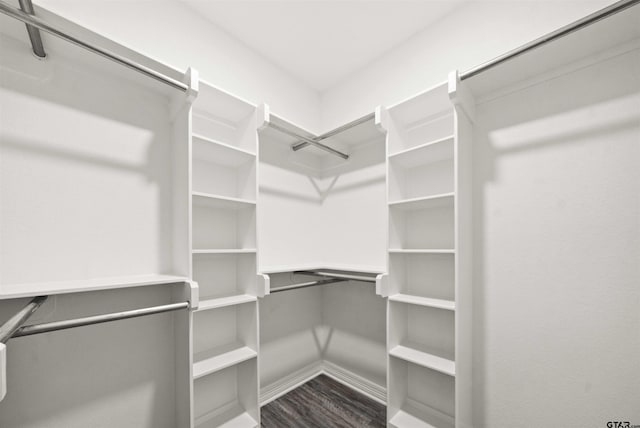 walk in closet with dark wood-type flooring