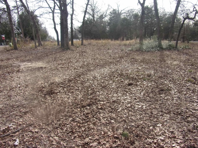 111 Mimosa Dr, Murchison, TX 75778