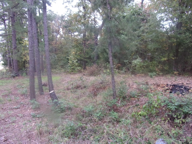 111 Mimosa Dr, Murchison, TX 75778