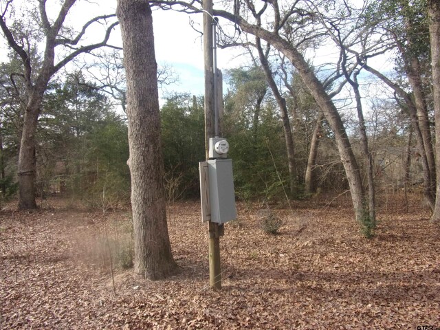 111 Mimosa Dr, Murchison, TX 75778