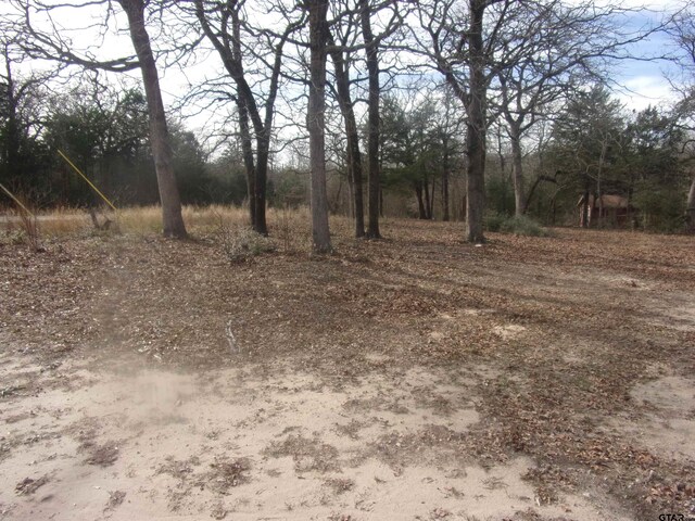 111 Mimosa Dr, Murchison, TX 75778