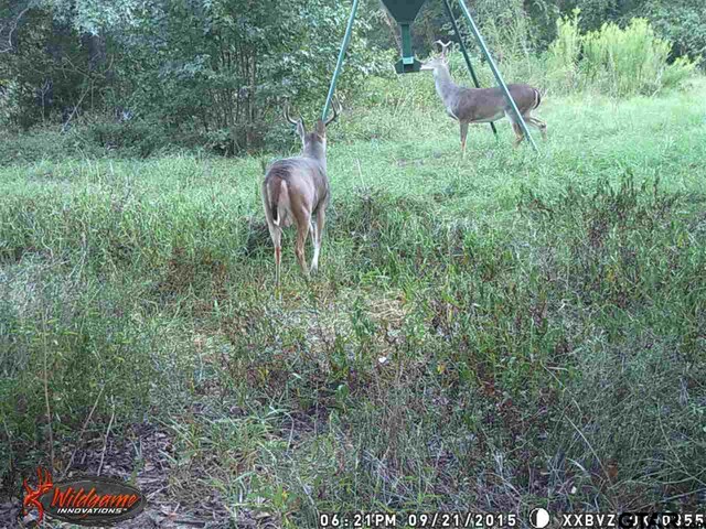 2280 County Rd 129, Tyler, TX 75703 - photo 15