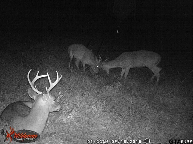 2280 County Rd 129, Tyler, TX 75703 - photo 8