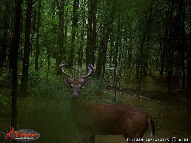 2280 County Rd 129, Tyler, TX 75703 - photo 13
