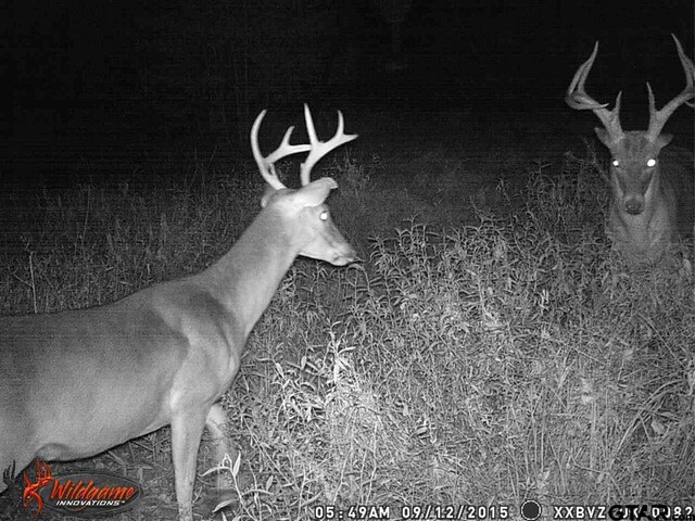 2280 County Rd 129, Tyler, TX 75703 - photo 9