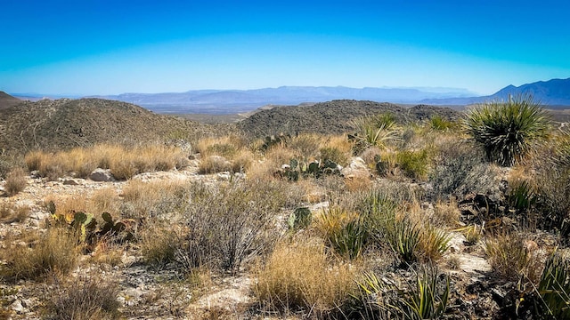 Listing photo 3 for 21419 Garnet Rd, Pid, Terlingua TX 79852