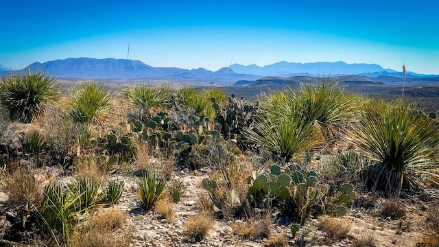 Listing photo 2 for 21419 Garnet Rd, Pid, Terlingua TX 79852