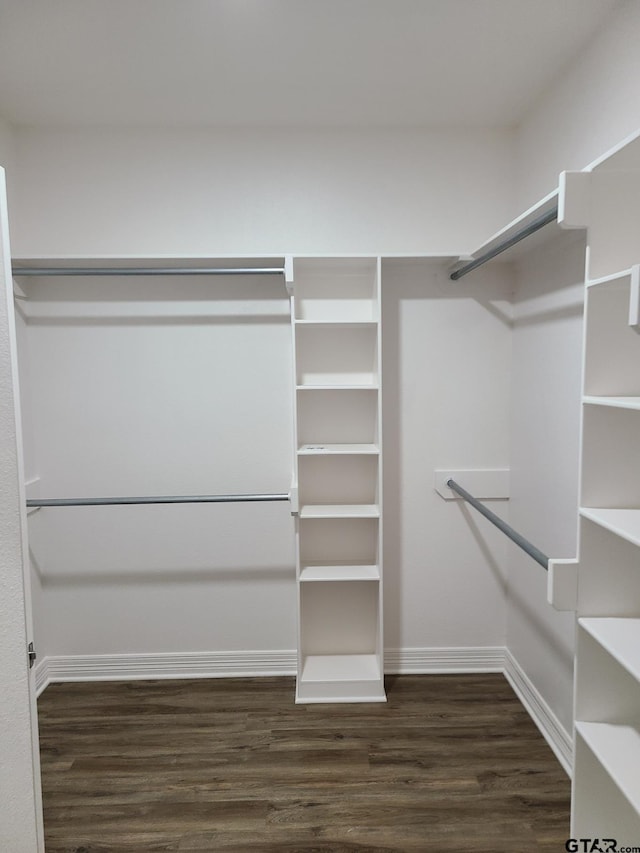 spacious closet featuring dark hardwood / wood-style floors