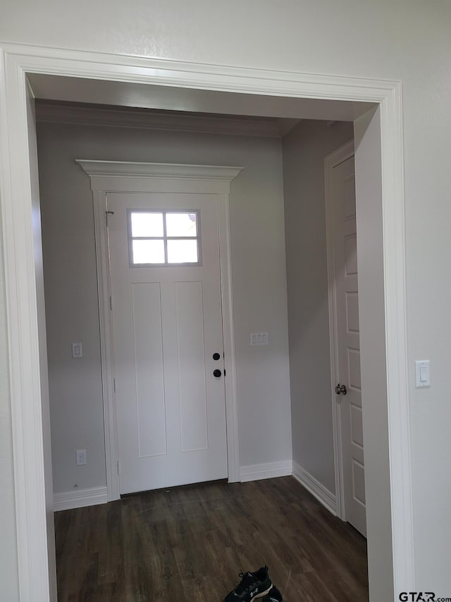 foyer featuring dark wood-type flooring