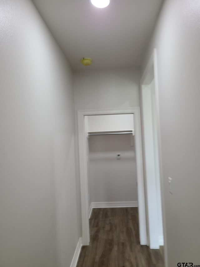 hallway featuring dark hardwood / wood-style flooring