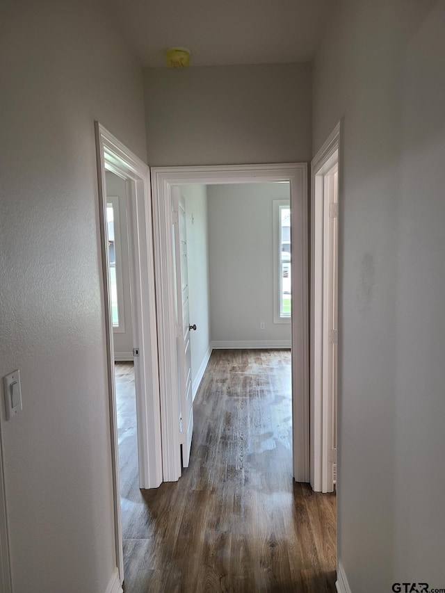 hallway with dark wood-type flooring