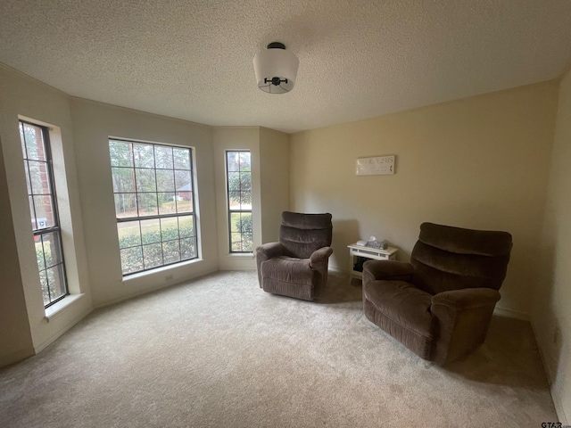 sitting room with light carpet and a textured ceiling