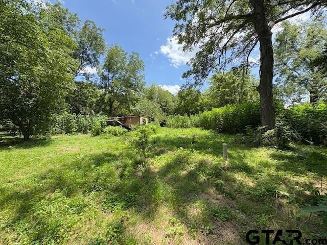 201 W Daingerfield St, Omaha, TX 75571 - photo 17