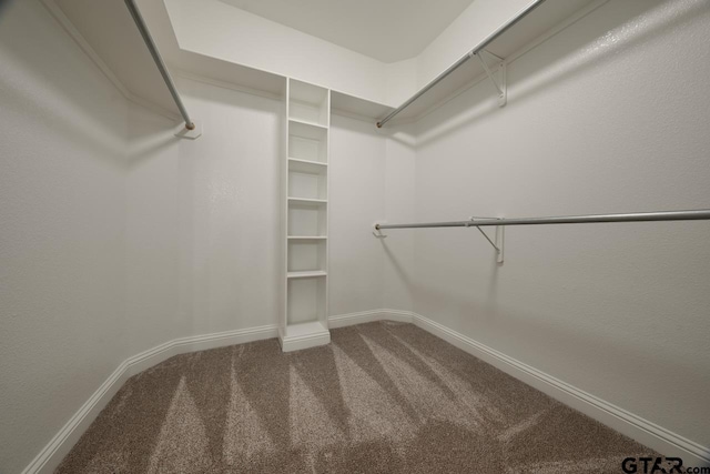 spacious closet with carpet flooring