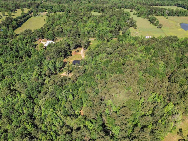 9760 Wood Chuck Rd, Winnsboro, TX 75494 - photo 12