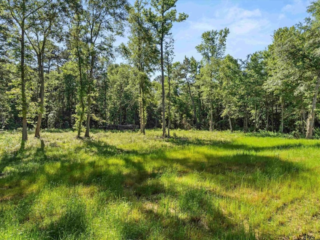 view of tree filled area