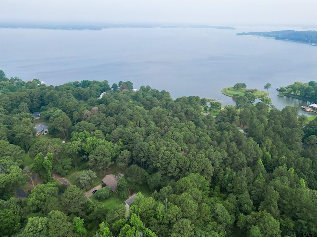 17294 Hidden Valley Ln, Flint, TX 75762 - aerial view of property's location featuring a nearby body of water and a forest