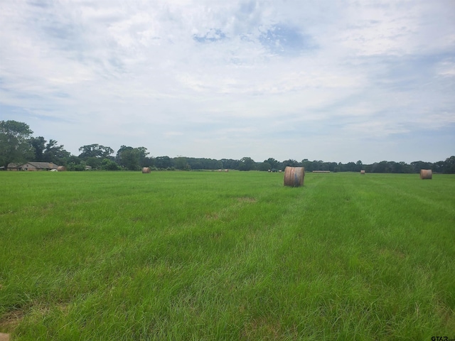 Listing photo 3 for TBD Cr 4221, Frankston TX 75763