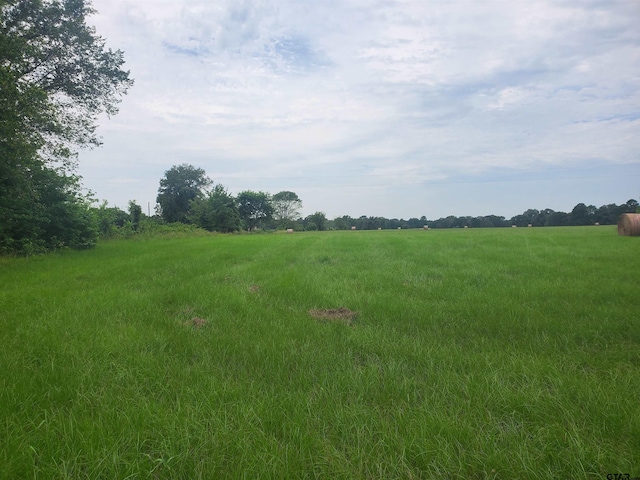 Listing photo 2 for TBD Cr 4221, Frankston TX 75763