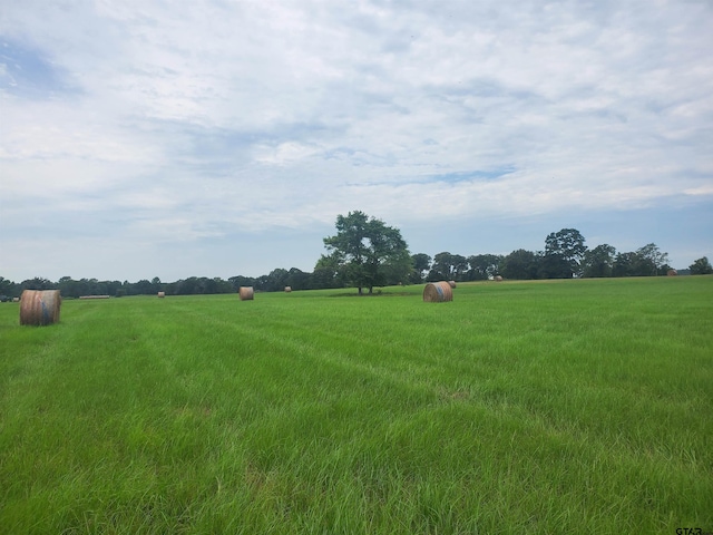 TBD Cr 4221, Frankston, TX 75763