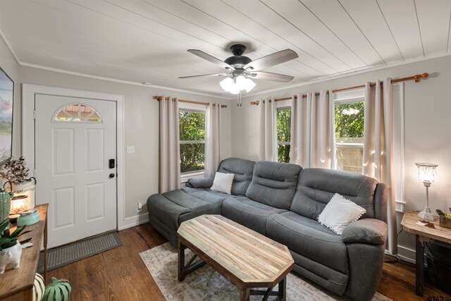 living room featuring ornamental molding, ceiling fan, and dark hardwood / wood-style floors