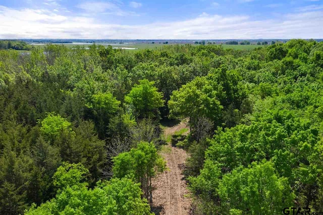 TBD Fm 1734, Mount Pleasant, TX 75455 - photo 40