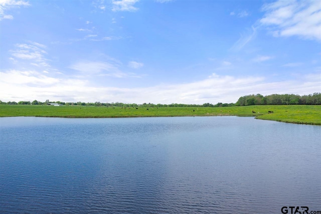 TBD Fm 1734, Mount Pleasant, TX 75455 - photo 19