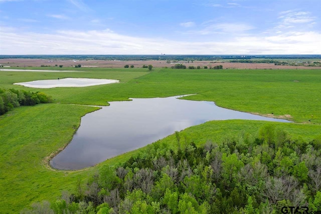 TBD Fm 1734, Mount Pleasant, TX 75455 - photo 3