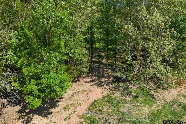 TBD Fm 1734, Mount Pleasant, TX 75455 - photo 38