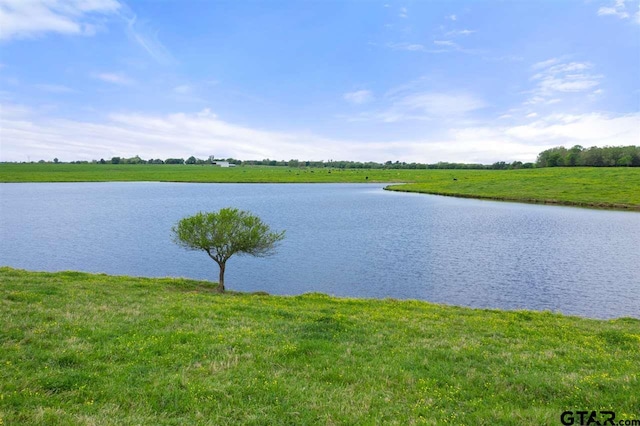TBD Fm 1734, Mount Pleasant, TX 75455 - photo 20