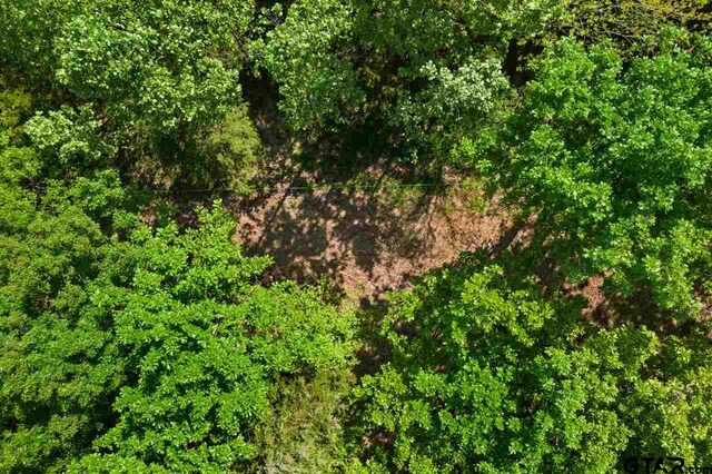 TBD Fm 1734, Mount Pleasant, TX 75455 - photo 42