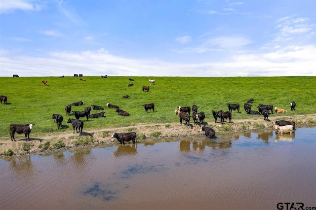 TBD Fm 1734, Mount Pleasant, TX 75455 - photo 28