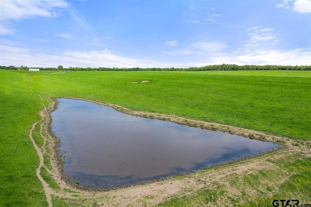 TBD Fm 1734, Mount Pleasant, TX 75455 - photo 17