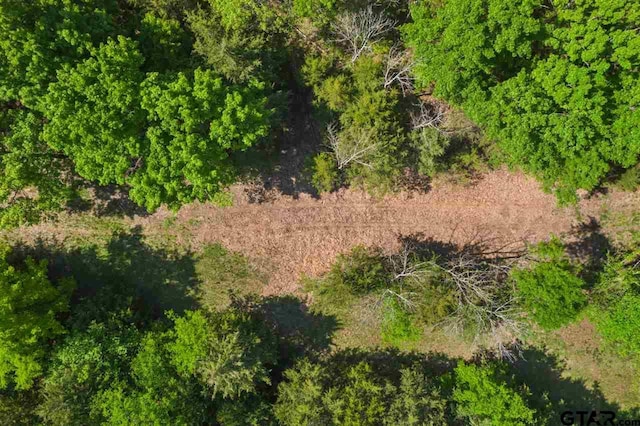 TBD Fm 1734, Mount Pleasant, TX 75455 - photo 41