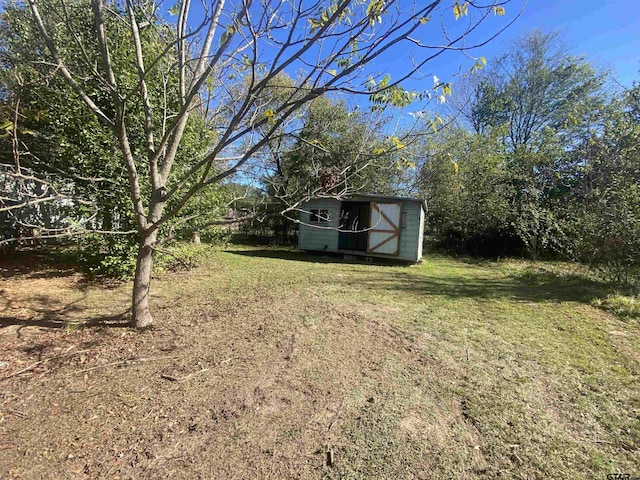 view of yard featuring a storage shed