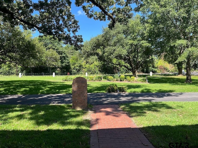 view of home's community with a yard