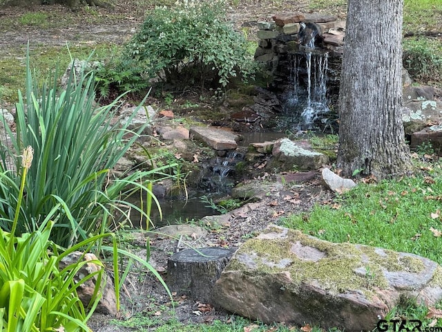 view of local wilderness