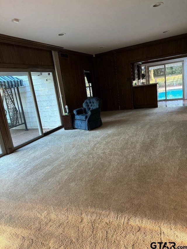 interior space with wood walls and carpet floors