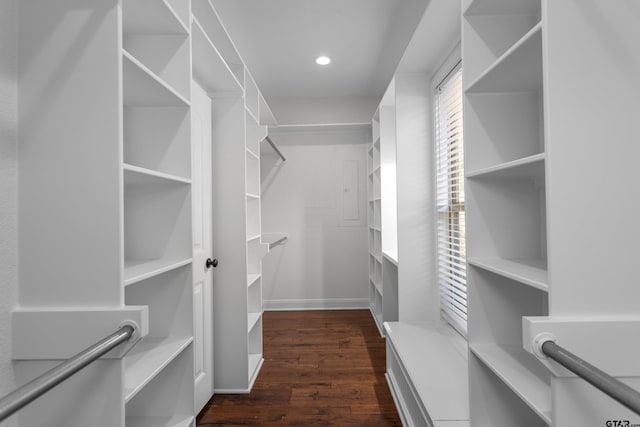 spacious closet with dark hardwood / wood-style flooring