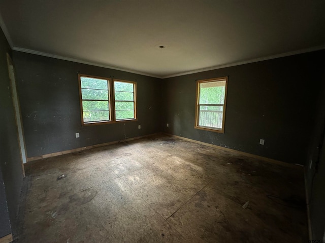 empty room with crown molding and plenty of natural light