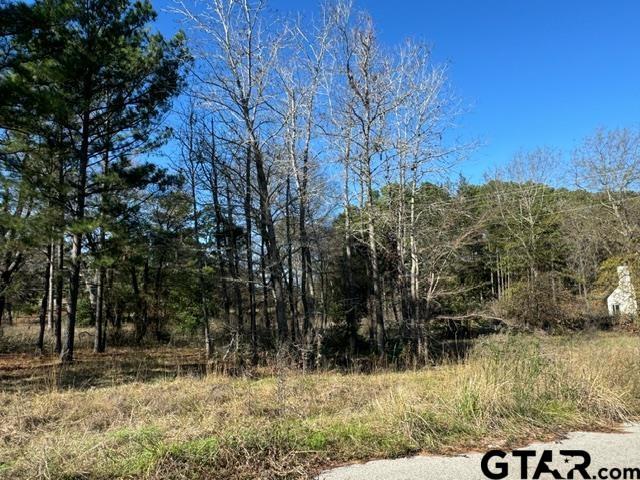 LOT1 Berrycreek Cir, Frankston, TX 75763
