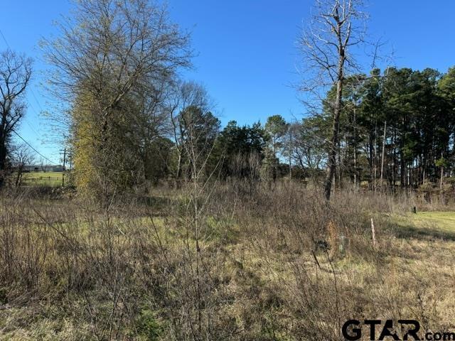 LOT1 Berrycreek Cir, Frankston, TX 75763