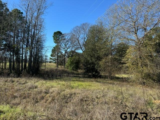 LOT1 Berrycreek Cir, Frankston, TX 75763