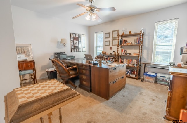 carpeted office space with ceiling fan and a wealth of natural light