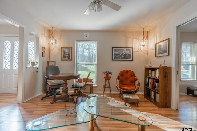 living area featuring ceiling fan with notable chandelier, plenty of natural light, and light hardwood / wood-style floors