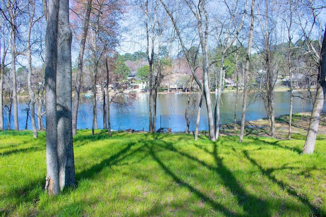 Listing photo 3 for 1215B Chateau Ln, Hideaway TX 75771